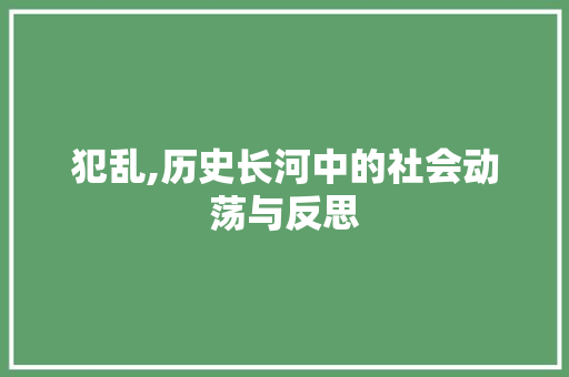 犯乱,历史长河中的社会动荡与反思