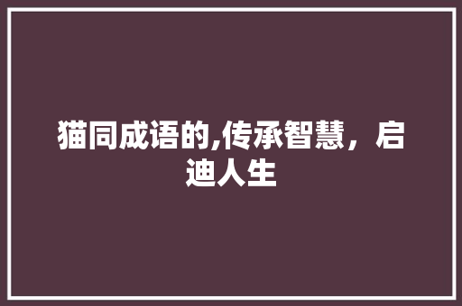 猫同成语的,传承智慧，启迪人生 生活类