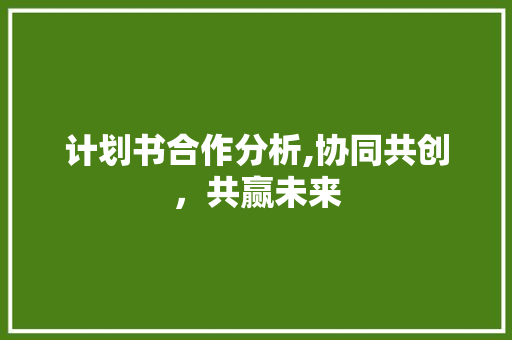 计划书合作分析,协同共创，共赢未来