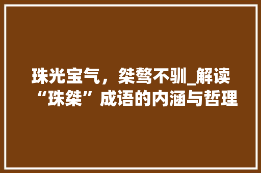 珠光宝气，桀骜不驯_解读“珠桀”成语的内涵与哲理