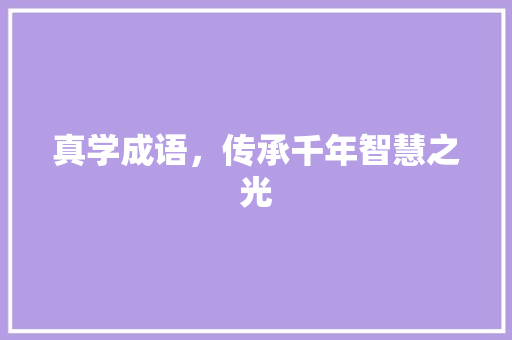 真学成语，传承千年智慧之光 生活随笔