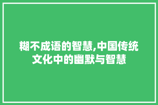 糊不成语的智慧,中国传统文化中的幽默与智慧 特写稿