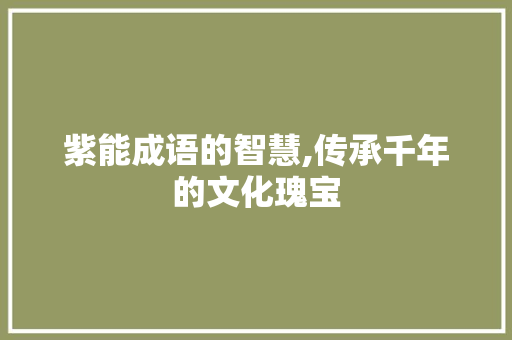 紫能成语的智慧,传承千年的文化瑰宝