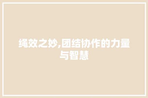 绳效之妙,团结协作的力量与智慧