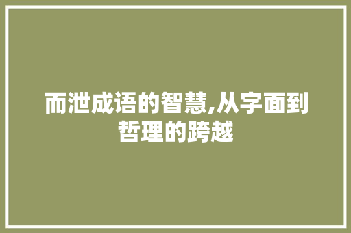 而泄成语的智慧,从字面到哲理的跨越