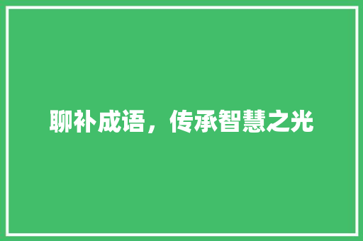 聊补成语，传承智慧之光