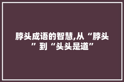 脖头成语的智慧,从“脖头”到“头头是道” 生活感悟