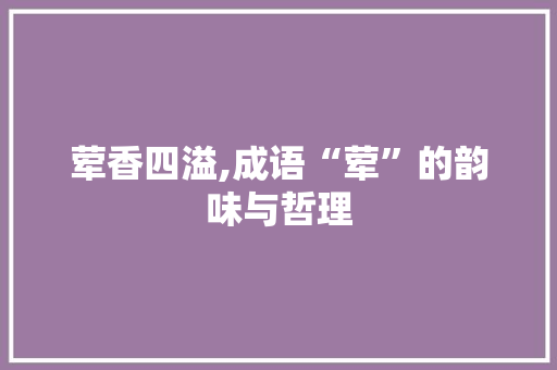 荤香四溢,成语“荤”的韵味与哲理