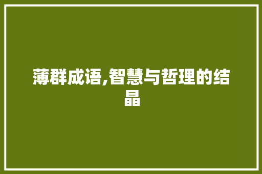 薄群成语,智慧与哲理的结晶