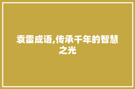 袁雷成语,传承千年的智慧之光