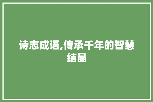 诗志成语,传承千年的智慧结晶
