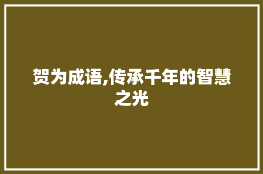 贺为成语,传承千年的智慧之光