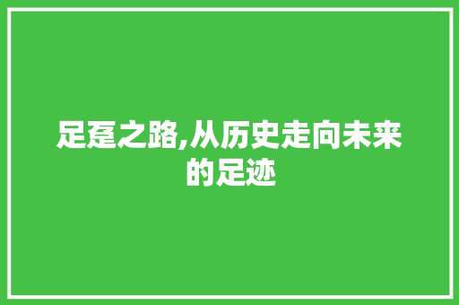 足趸之路,从历史走向未来的足迹