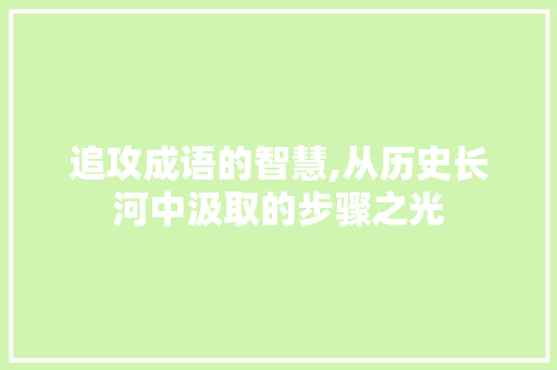 追攻成语的智慧,从历史长河中汲取的步骤之光