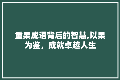 重果成语背后的智慧,以果为鉴，成就卓越人生