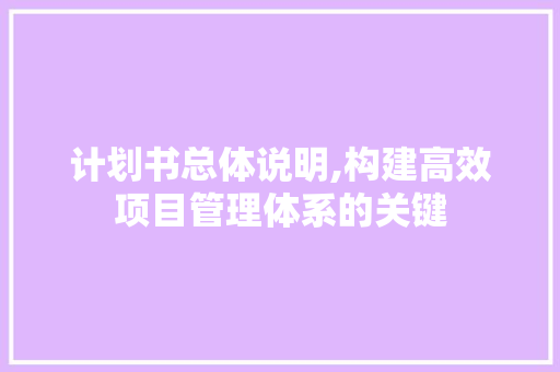 计划书总体说明,构建高效项目管理体系的关键