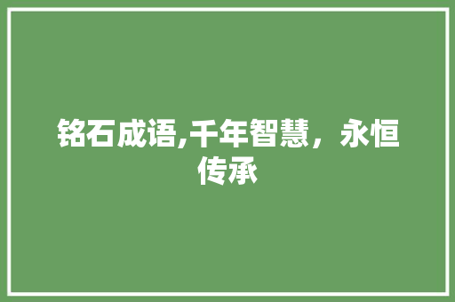 铭石成语,千年智慧，永恒传承