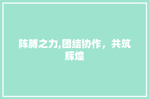 阵膊之力,团结协作，共筑辉煌