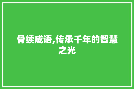 骨续成语,传承千年的智慧之光
