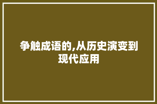 争触成语的,从历史演变到现代应用