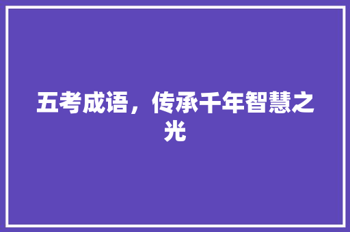 五考成语，传承千年智慧之光