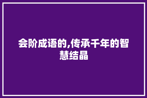 会阶成语的,传承千年的智慧结晶