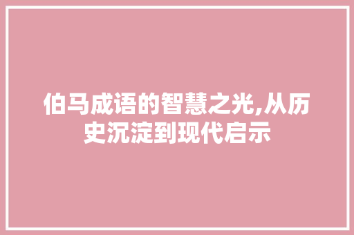 伯马成语的智慧之光,从历史沉淀到现代启示