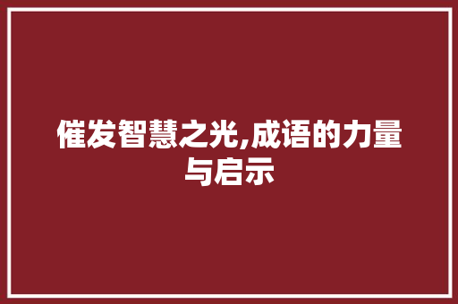 催发智慧之光,成语的力量与启示