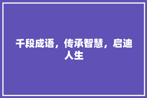 千段成语，传承智慧，启迪人生