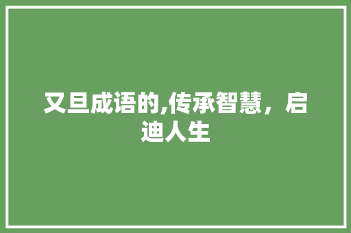 又旦成语的,传承智慧，启迪人生