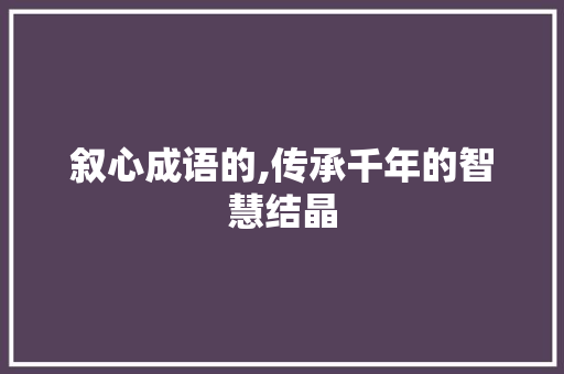 叙心成语的,传承千年的智慧结晶