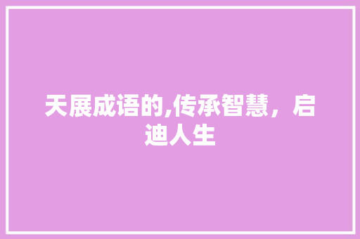 天展成语的,传承智慧，启迪人生