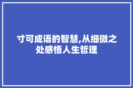 寸可成语的智慧,从细微之处感悟人生哲理