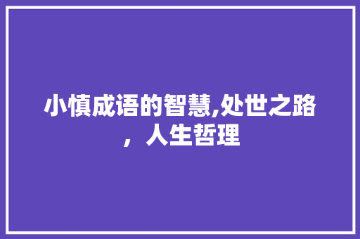 小慎成语的智慧,处世之路，人生哲理
