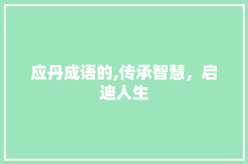 应丹成语的,传承智慧，启迪人生