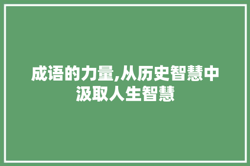 成语的力量,从历史智慧中汲取人生智慧