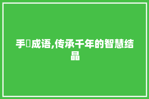 手挙成语,传承千年的智慧结晶