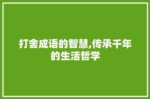 打舍成语的智慧,传承千年的生活哲学