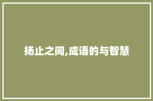 扬止之间,成语的与智慧
