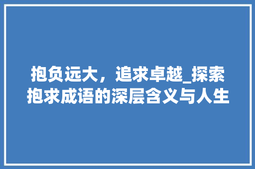 抱负远大，追求卓越_探索抱求成语的深层含义与人生哲理 采访稿