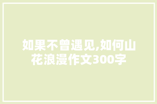 聚焦任期目标，擘画未来蓝图_以XX项目为例