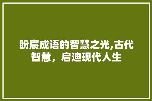 盼宸成语的智慧之光,古代智慧，启迪现代人生