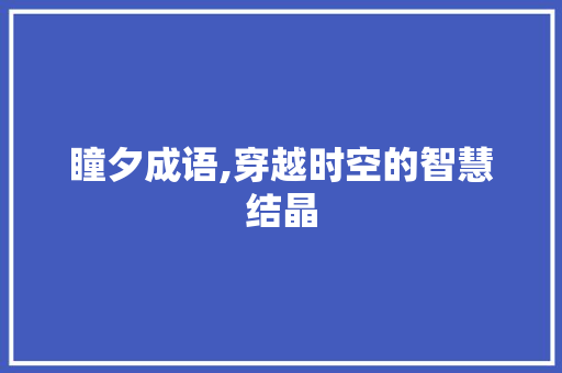瞳夕成语,穿越时空的智慧结晶