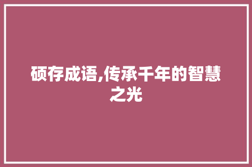 硕存成语,传承千年的智慧之光