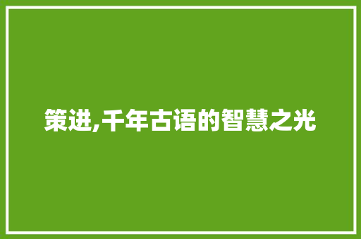 策进,千年古语的智慧之光