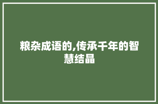 粮杂成语的,传承千年的智慧结晶