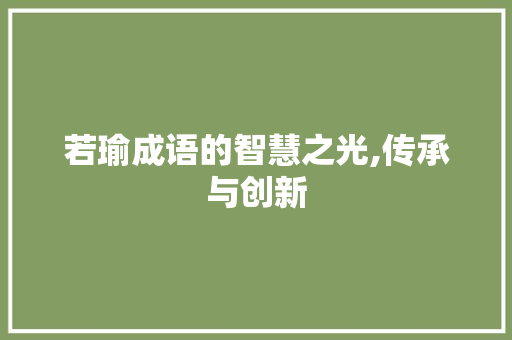 若瑜成语的智慧之光,传承与创新