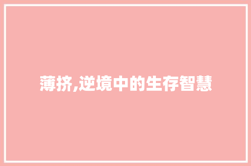 薄挤,逆境中的生存智慧