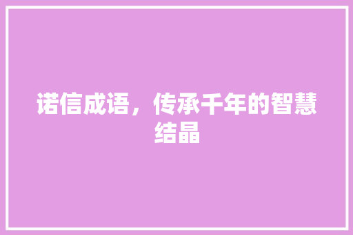 诺信成语，传承千年的智慧结晶