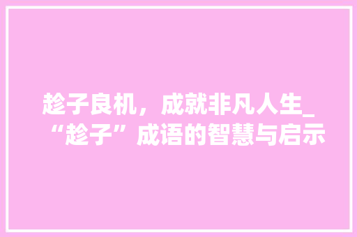 趁子良机，成就非凡人生_“趁子”成语的智慧与启示 生活感悟
